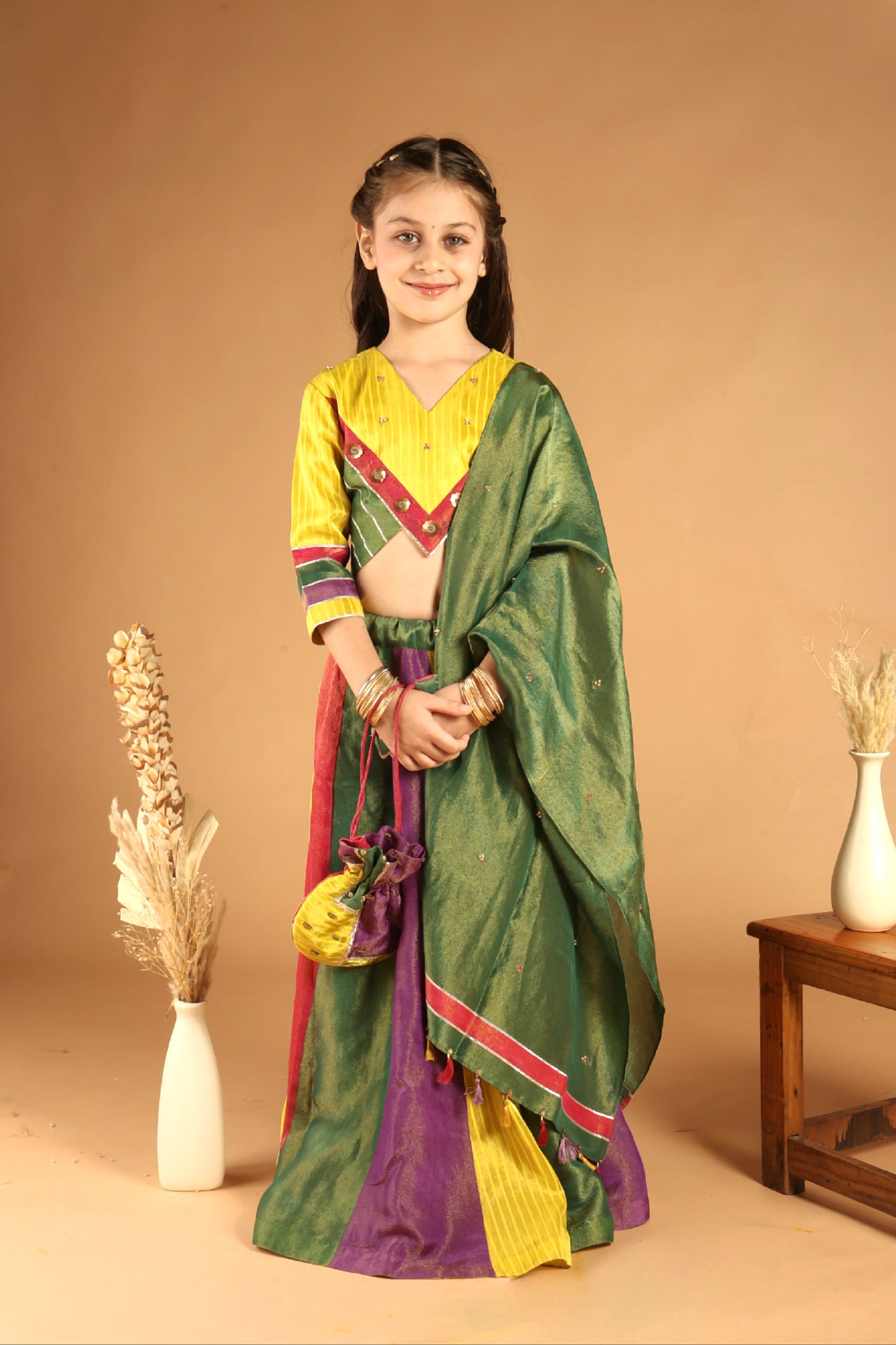 Panchphooli Multicolor panel lehenga set
