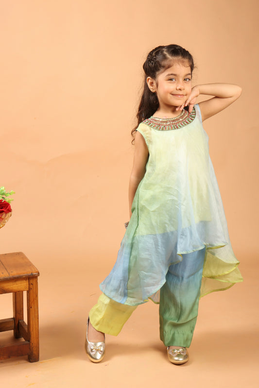 Gulbahaar Kurta Set